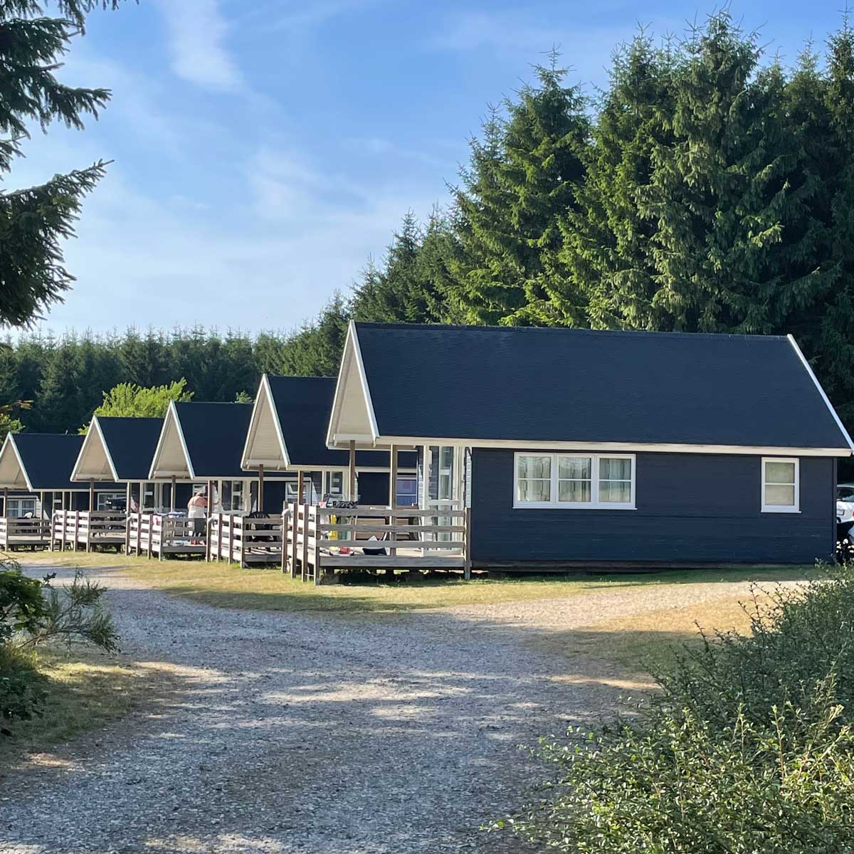 Riis-Feriepark-1200×1200 Riis Feriepark
